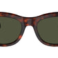PO0086S 24/31 Tortoise