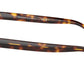 PH2272 6137 Brown Tortoise