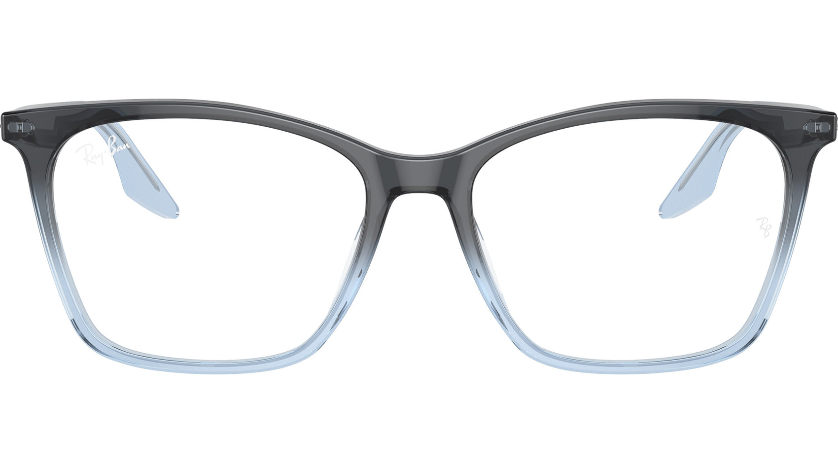 RB5422 Optics 8309