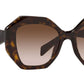 PR 16WS tortoise