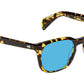 Shiddock Sun Tokyo Tortoise
