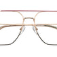 PLD D554 EYR