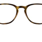 RB7159 Optics 2012