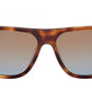 Frances FT1081 53F Havana Blue Brown