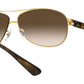 RB3386 arista gold brown