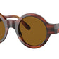 AR 903M 594433 Tortoise