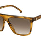 3027/S EX4 HA Brown Horn