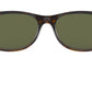 New Wayfarer Classic RB2132 glossy tortoise