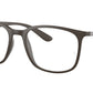 RB7199 Optics 8063