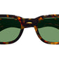 Klutz Sun Tortoise