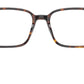 Raimond Optics RB5431 2012