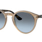RB2180 6788V1 Turtledove