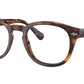PH2272 6137 Brown Tortoise