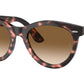 Wayfarer Way RB2241 133451 Pink