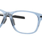 Cerebral OX8187 04 Transparent Blue