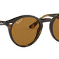 RB2180 shiny dark havana