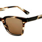 TRENTO SUN HVGR Tortoise