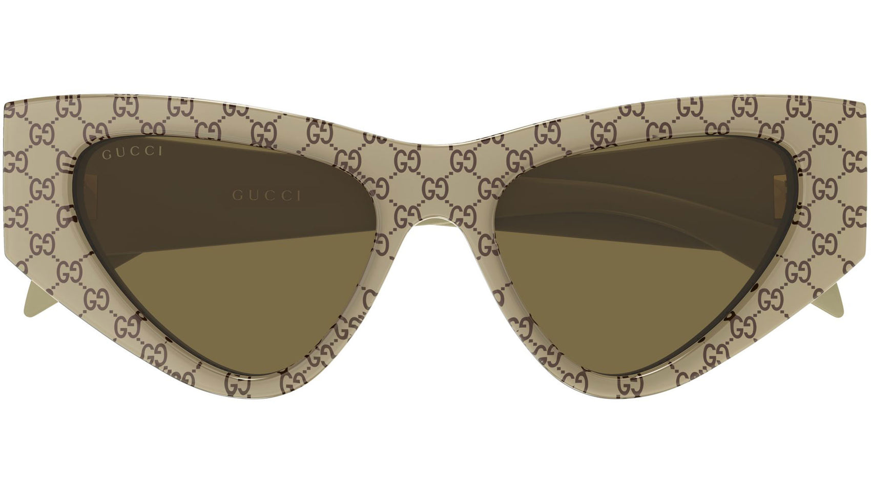 GG2019S 005