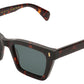 ZYRON Classic Havana