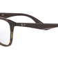 RB7066 shiny havana