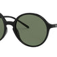 RB4304 601/71 black