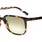 WLA LEGR Tortoise