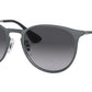 Erika Metal RB3539 192/8G metallic grey