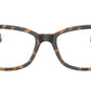 RY1591 3805 Tortoise