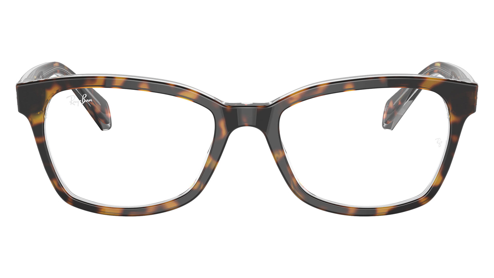 RY1591 3805 Tortoise