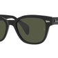 RB0880S 901/31 black