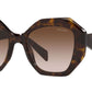 PR 16WS tortoise
