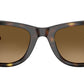 Wayfarer Ease RB4340 710/M2