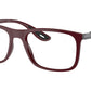 RB7222M Optics F681