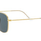 Frank RB3857 9196R5 legend gold