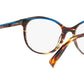 3069 001 tortoise