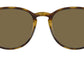 RB4259 710/73 light havana