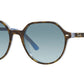 Thalia RB2195 13163M havana on light blue