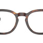 PH2272 6137 Brown Tortoise