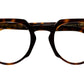 1383 Optical 02 Dark Turtle