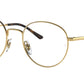 RB3681V Optics 2500