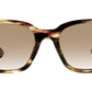 TRENTO SUN HVGR Tortoise