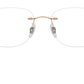 RB8748 Optics 1131