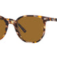 Elliot RB2197 135757 havana brown grey