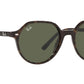 Thalia RB2195 902/31 havana