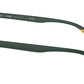 Ferrari RB4607M F6996G Green