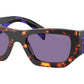 PR A01S 14O50B Tortoise