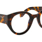 Style 41 Havana