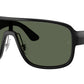 RB2229 901/71