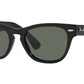 Laramie RB2201 901/58 black