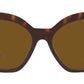 PR 17ZS tortoise